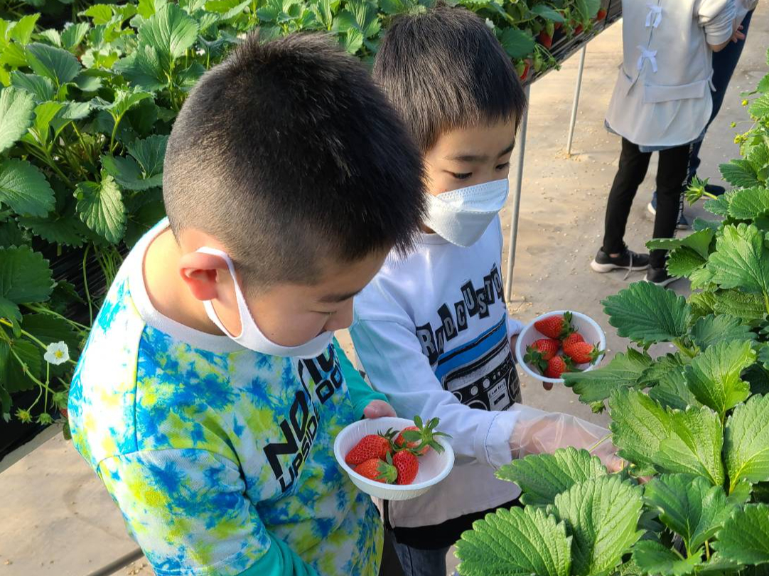 2023�N���E�ݎ�莞�̃}�X�N���p�͖����Ȃ��Ă��܂��i�����Ȃ���H�ׂ�͕̂s�j