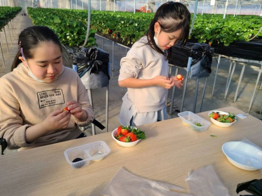 �����O���[�v���ƂɃe�[�u���ƃC�X���p�ӂ��Ă���܂�