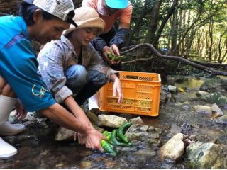 ぷらっと農園農体験 ぷらっと農園は人里離れた山の中に畑があります。自然栽培の野菜たち!自然の営みで育った野菜たちを肌で感じ取ってください。