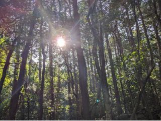 癒しの空間 奥の木場
