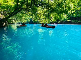 【春】春が一年の中で一番青い!