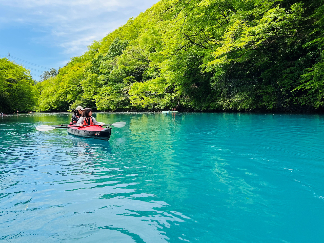 �y�t�z���z�̓���������ɂ���Đ����ω��I�H