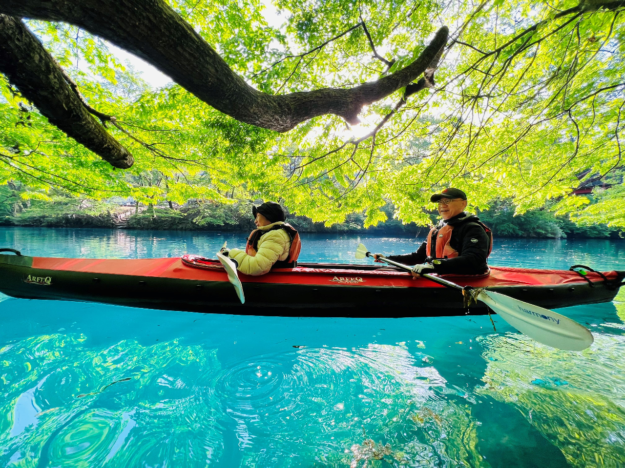 �y�t�z�V�΂̖؁X�̉���D��Ɂ�