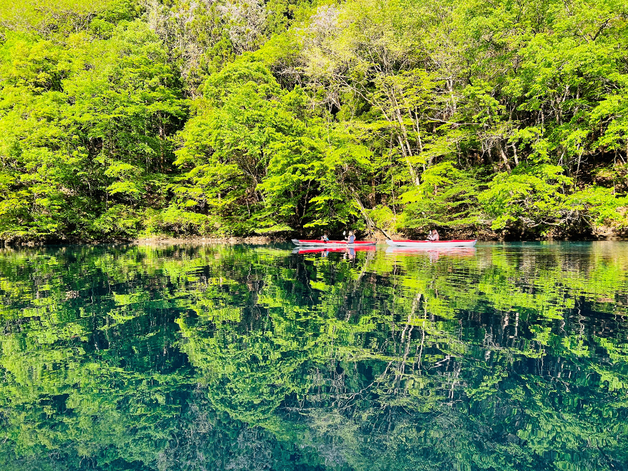 �y�t�z�����Ȃ����̌Ζʁ�