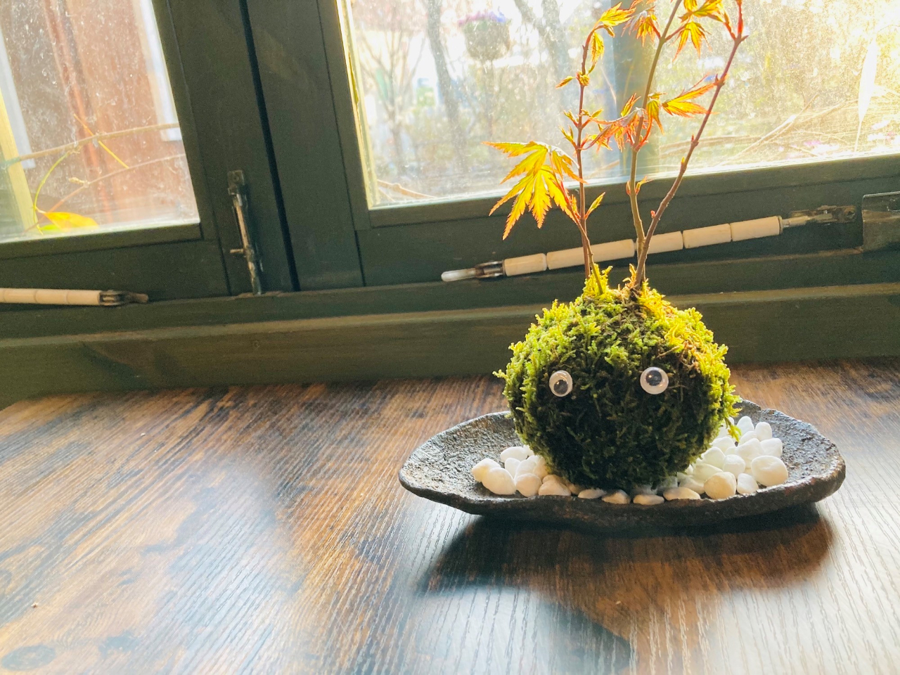 お子様には目玉もプレゼント!!