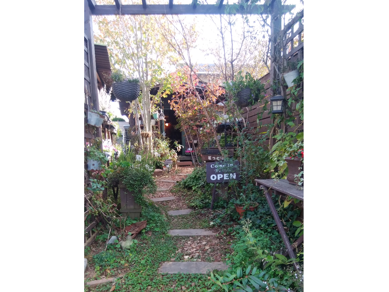 入口奥のログハウスが教室になります