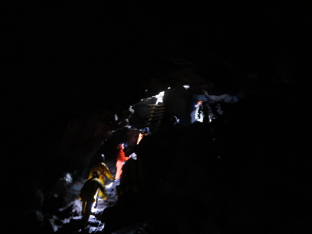 SSɏlł̍ÍsBȂql炨N܂ňSĂQł܂B