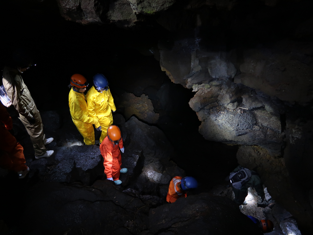 dC萠ȂAwbhCg݂̓̂ŒTBvCx[gcA[Ȃ̂ŁAqǂ₨񂨂΂SĒTo܂B