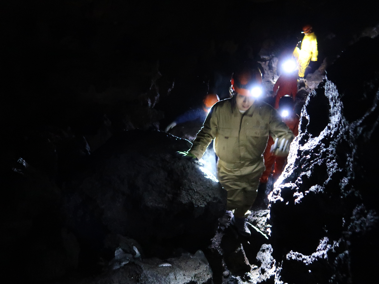 dC萠Ȃ^ÂȓAT܂Bƕ|ĂqǂT͂т肷邮炢MXɐĂ܂B