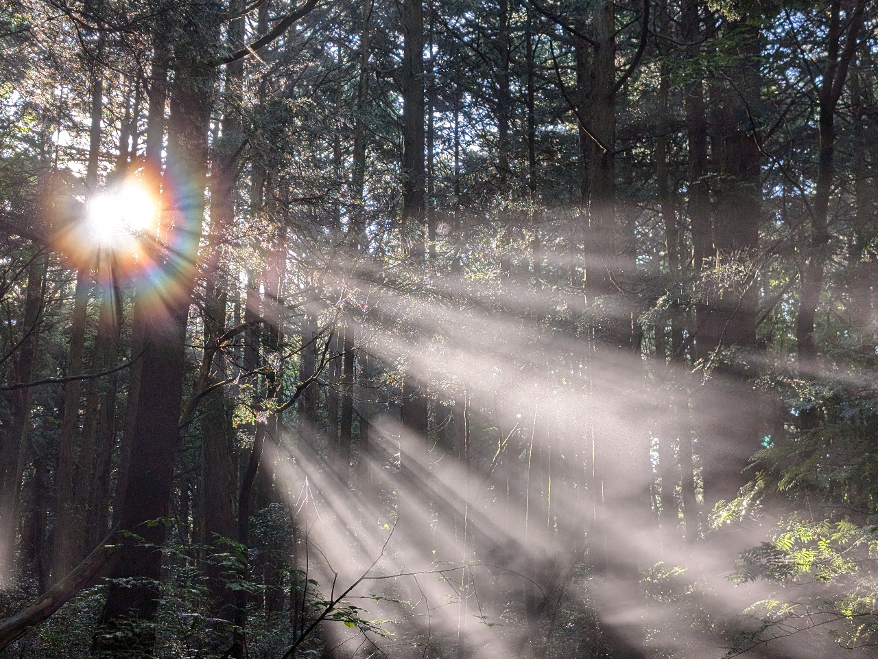 񂾋Cɉ荞ތ䊂͂܂ɐ_IB