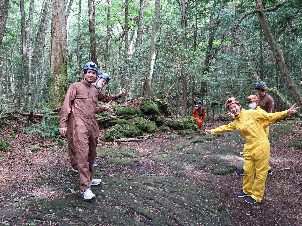 �F��Ȍ��ǂ��낪�����ɂ���̂ŁA�O����ɂ���܂���B