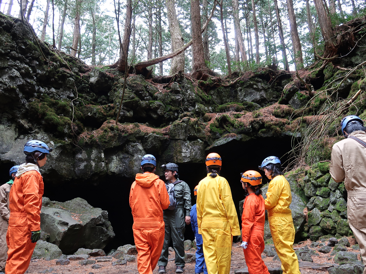 �h�L�h�L�A���A�ɂ͂����[�B