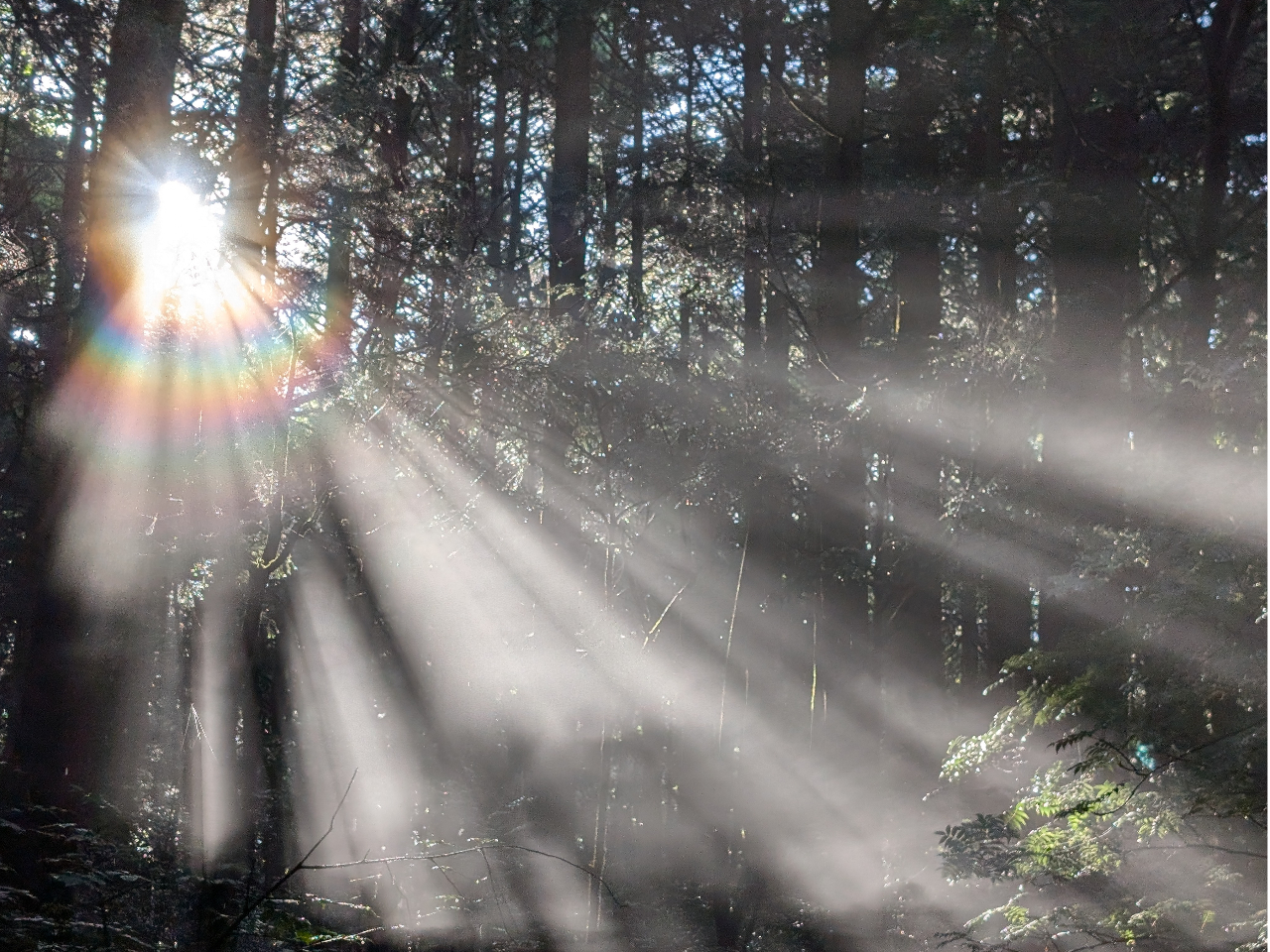 񂾋Cɉ荞ތ䊂͂܂ɐ_IB