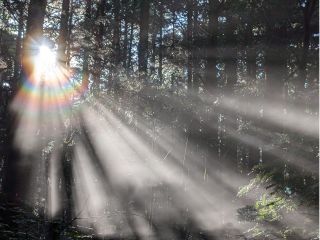 澄んだ空気に横から入り込む光芒はまさに神秘的。