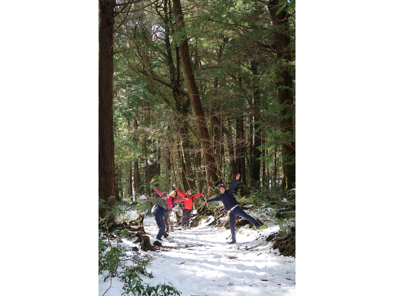 �_��I�Ȍ��i�𒩂��猩��ƁA�P���n�b�s�[