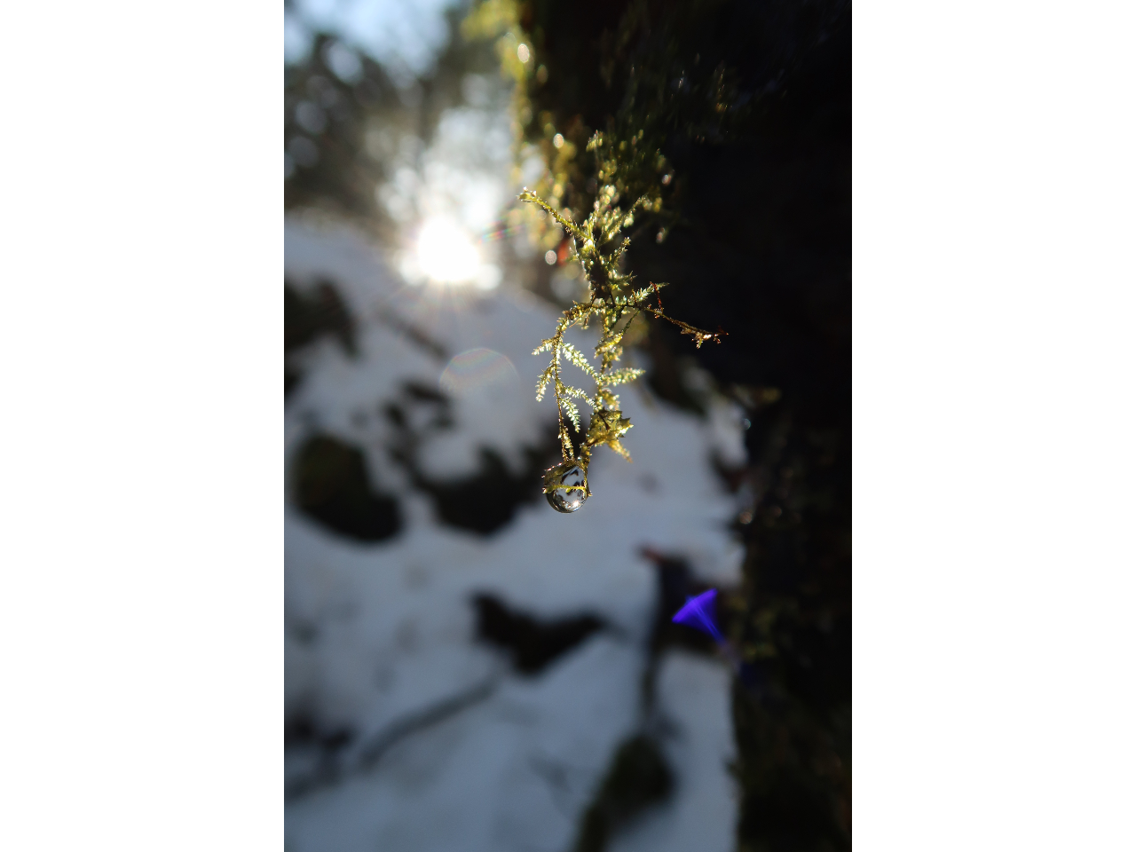 �ۂ���H�鐅�H�������ɏƂ炳��ċP���܂��B