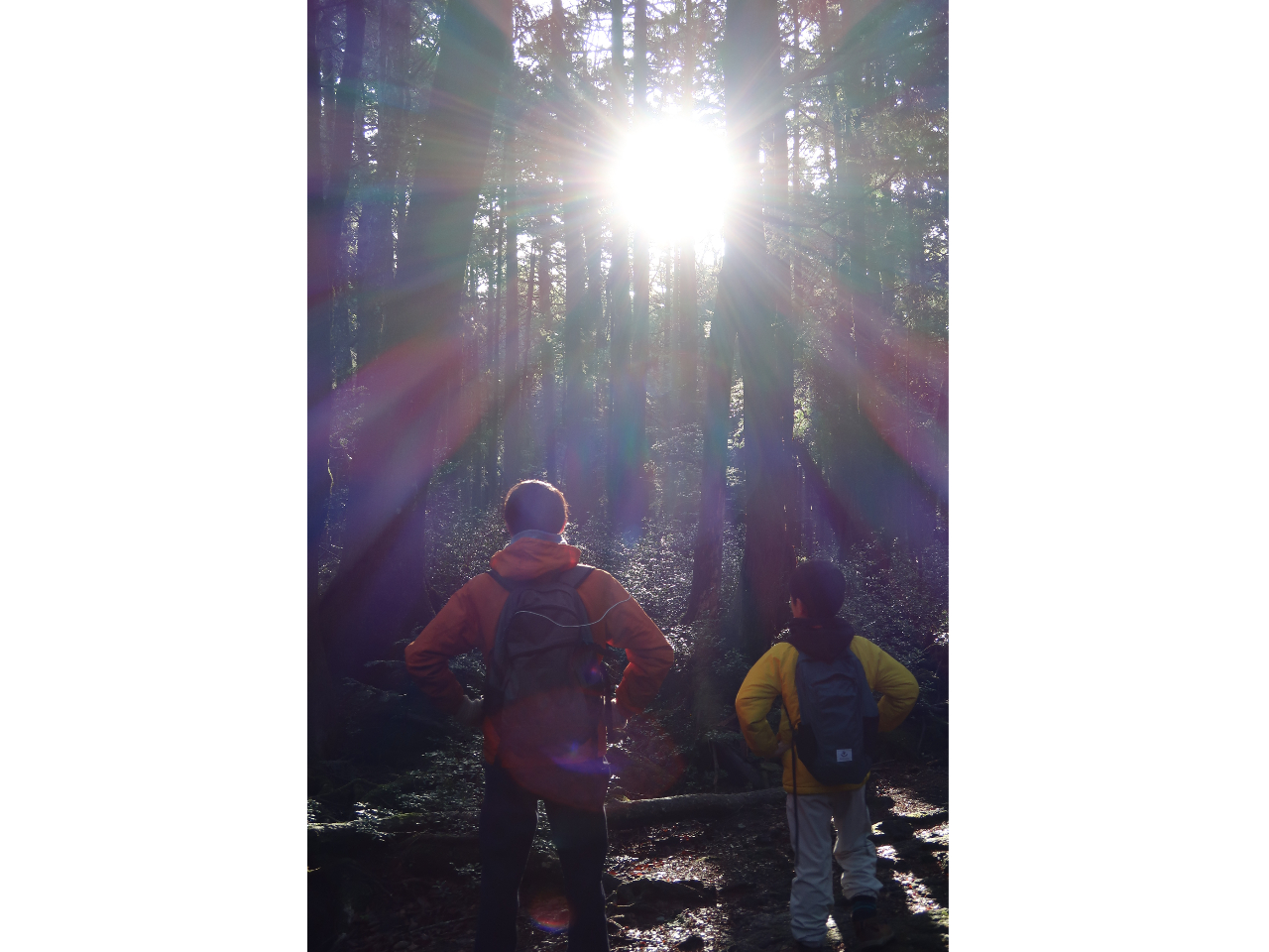 �������i�΁j