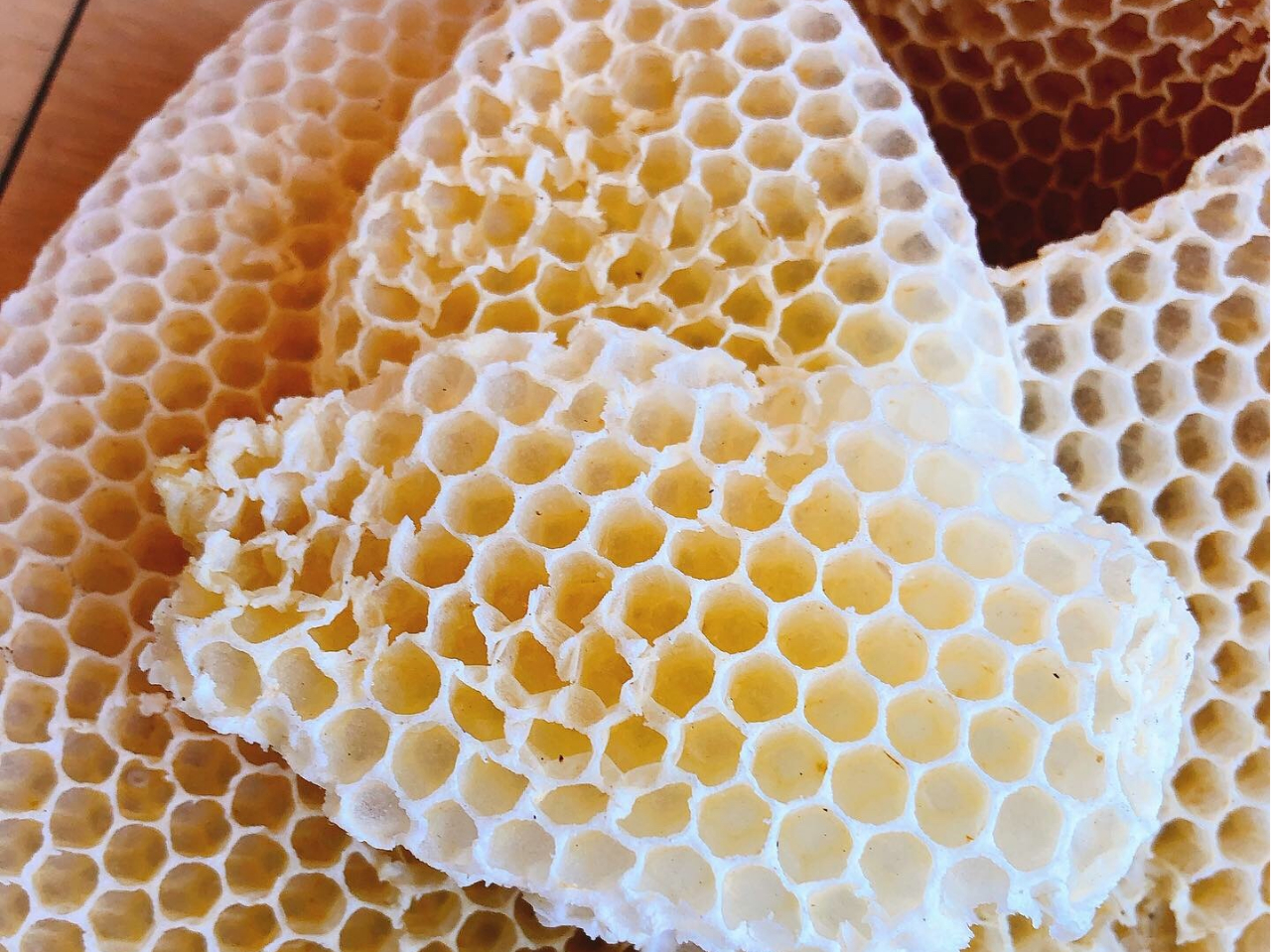 ޗ̂ʂ̘aĨ~cEEucalyblue aroma.t]̖Rňϊ󏭂ȓ{݂΂̑PP肵Ă܂B