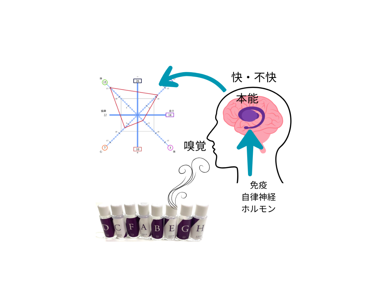 �򗝌��ʂ�������8��̍����k�������ȒP�I���̐S�ƃJ���_�A�X�g���X�x�̏�Ԃ��킩��܂��B