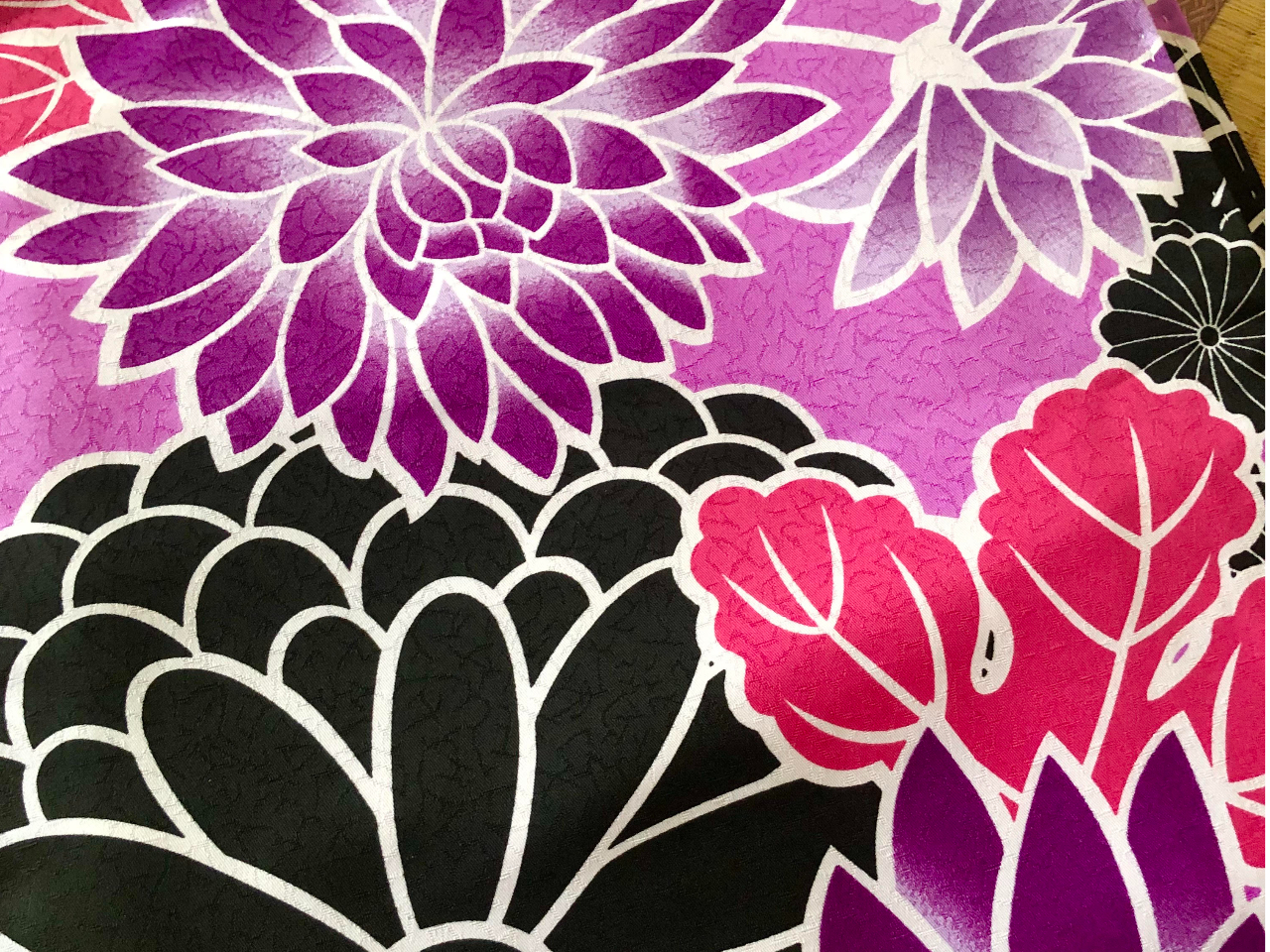 �����^�������D