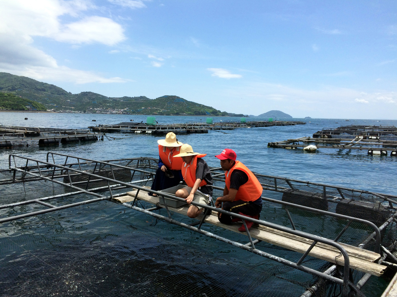 QYʓ{ւ{B}_Cւ̉ǎłB  