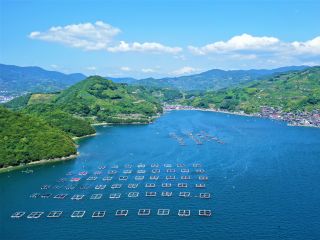穏やかな宇和海に浮かぶ養殖筏が舞台です。