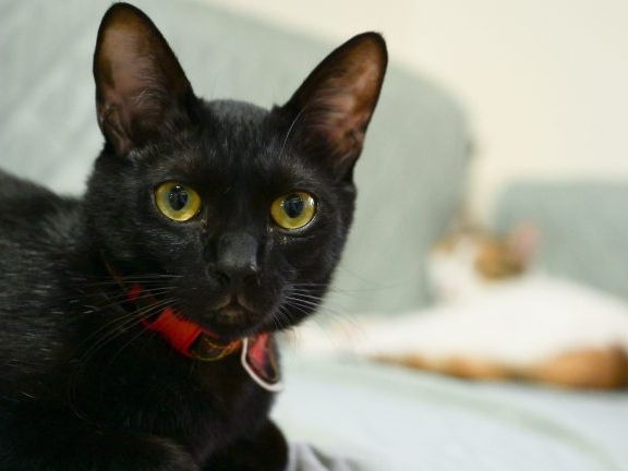 ߂Ǝv킸ΊɂȂĂ܂܂