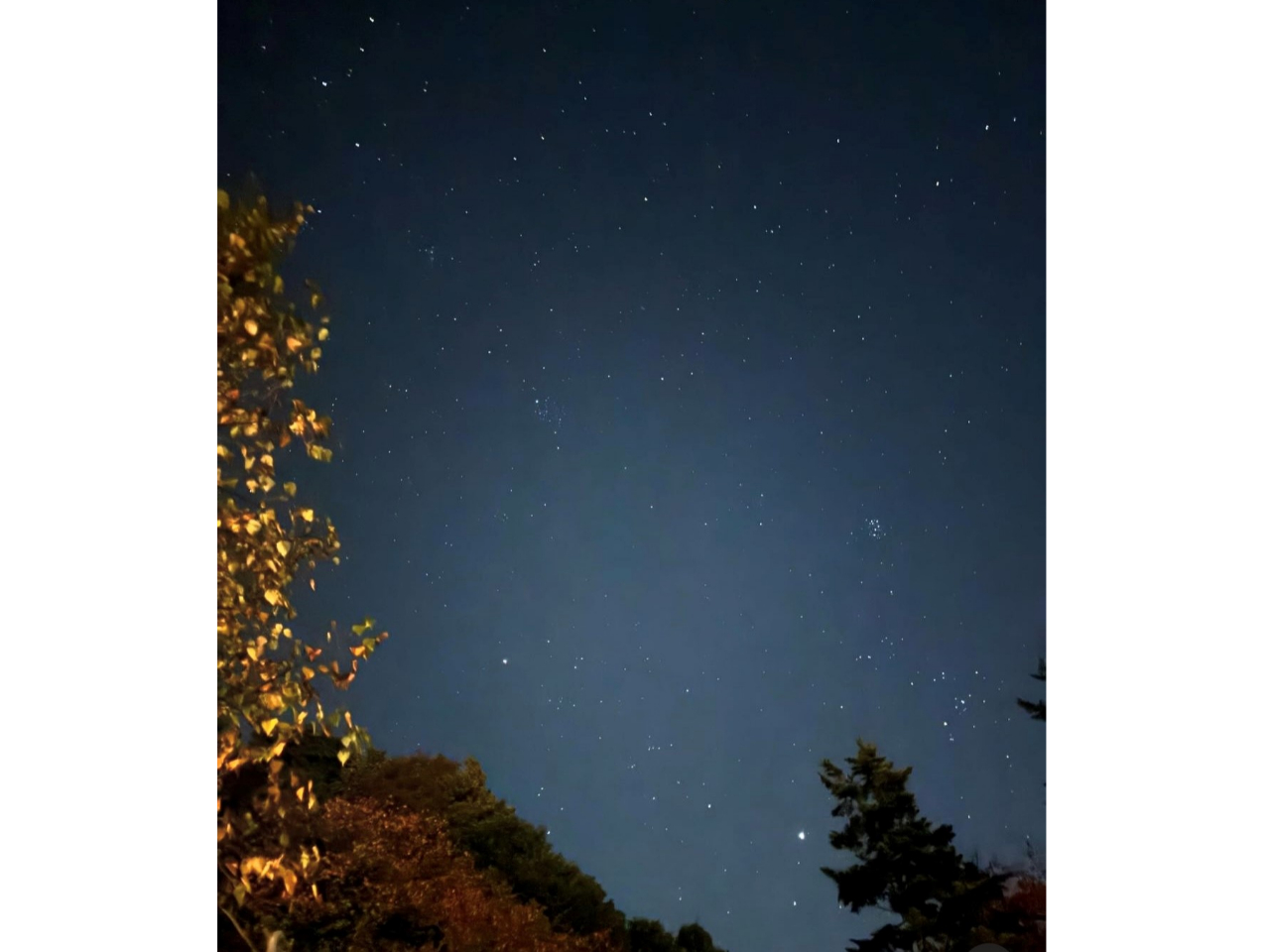 �����̂ޔ������̐���ł��B