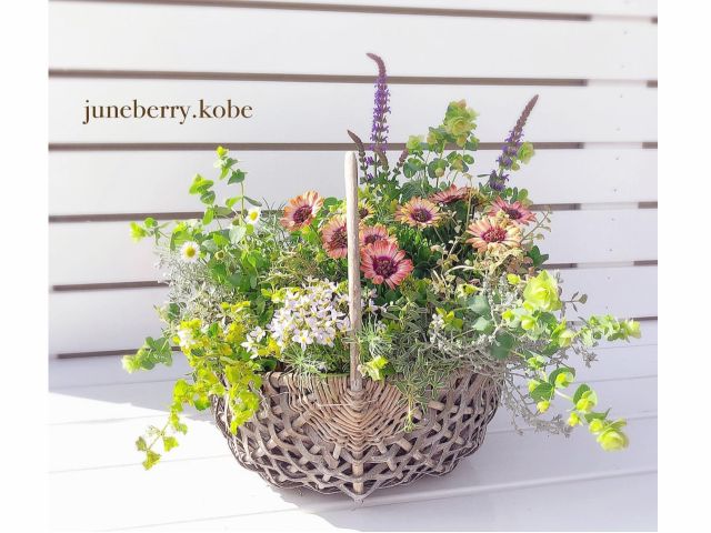 季節の寄せ植えバスケット体験 女性におすすめ 癒しのガーデニング教室 じゃらん遊び体験 季節の寄せ植えバスケット体験 女性におすすめ 癒しのガーデニング教室 じゃらん遊び体験