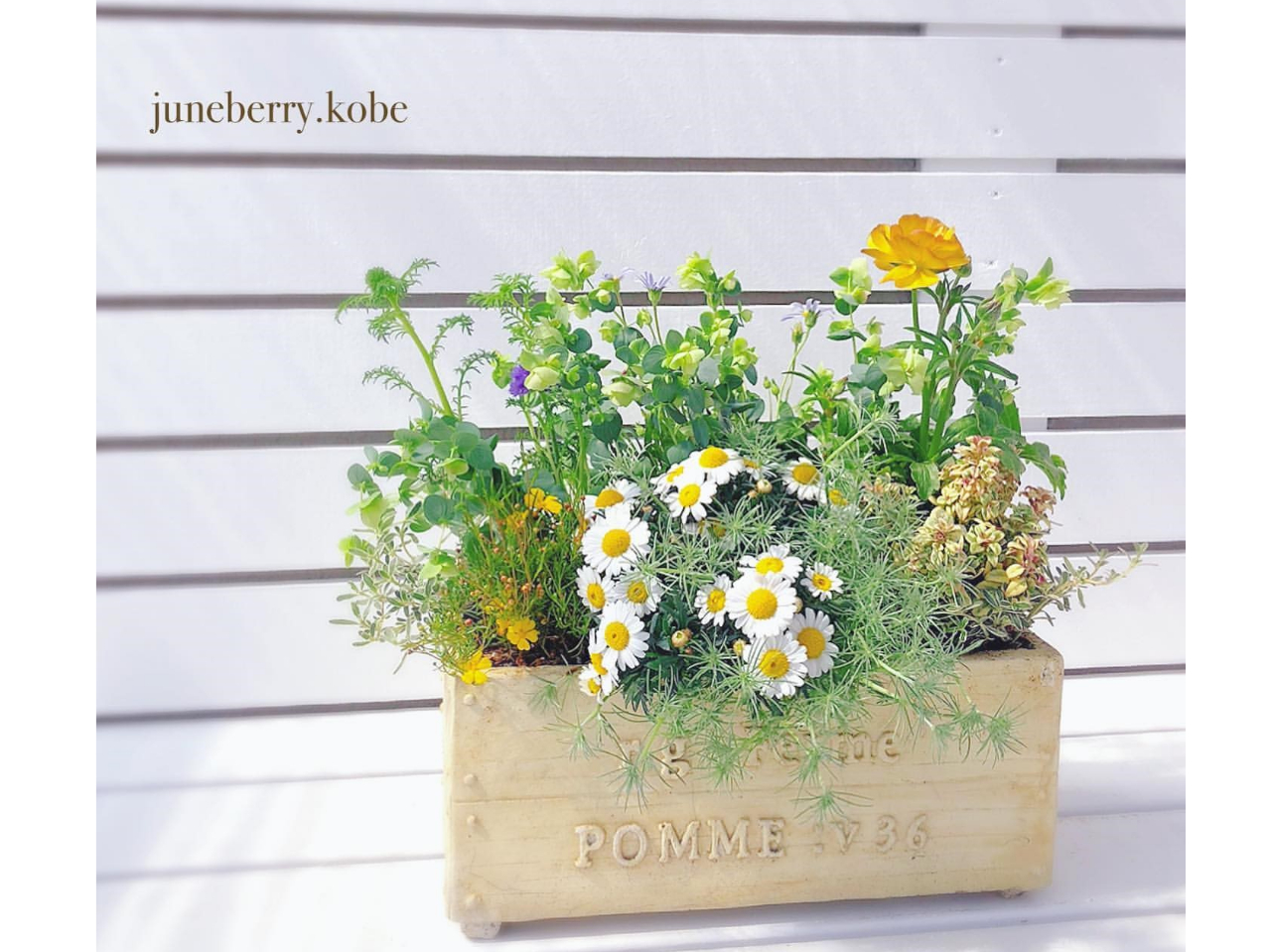  Xїo ÂŒ߂̗ǂꏊɂ܂EB