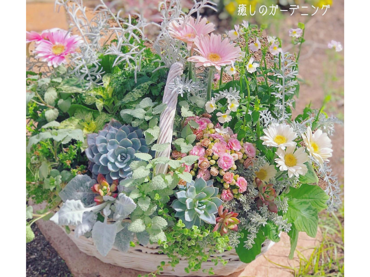 G߂̂Ԃ⃊[tgāAfGȊ񂹐AAWĂ݂܂񂩁H