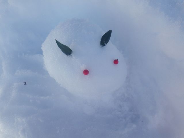 雪うさぎ