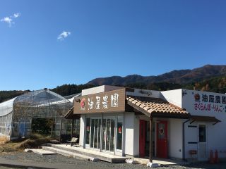 受付からすぐにさくらんぼハウスへ