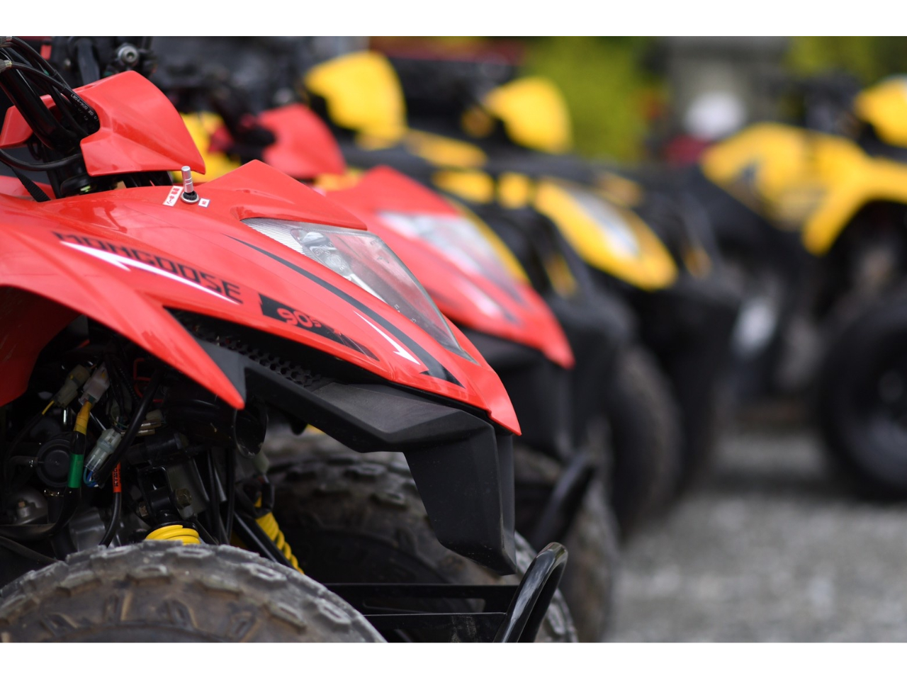 4փoM[qlp`lp܂Ŋe푵Ă܂BJbRSփoM[𑖂点ĂI