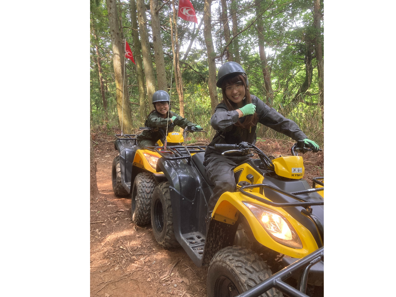 uʃRXvvŃANeBu`WR[X𑖂ƃeV}bNXIIChȃR[X̃y[XŃNAł܂I