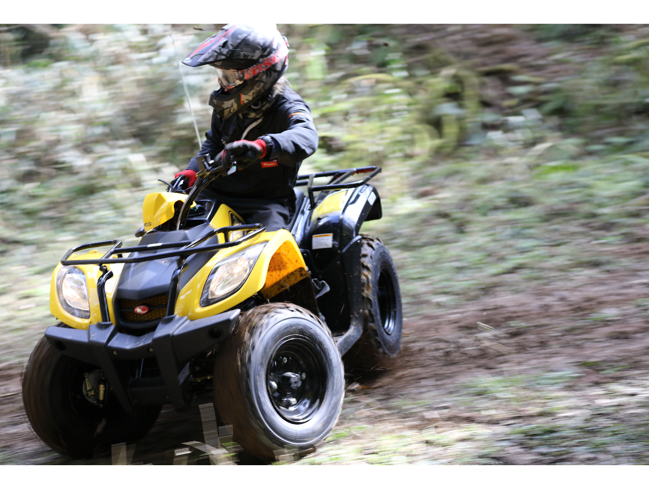 SփoM[Ƀn}́us[^[ANeBu`WvpӂĂA`㋉҃R[X̌ł܂IڂHPɂĊeR[X`FbNłI