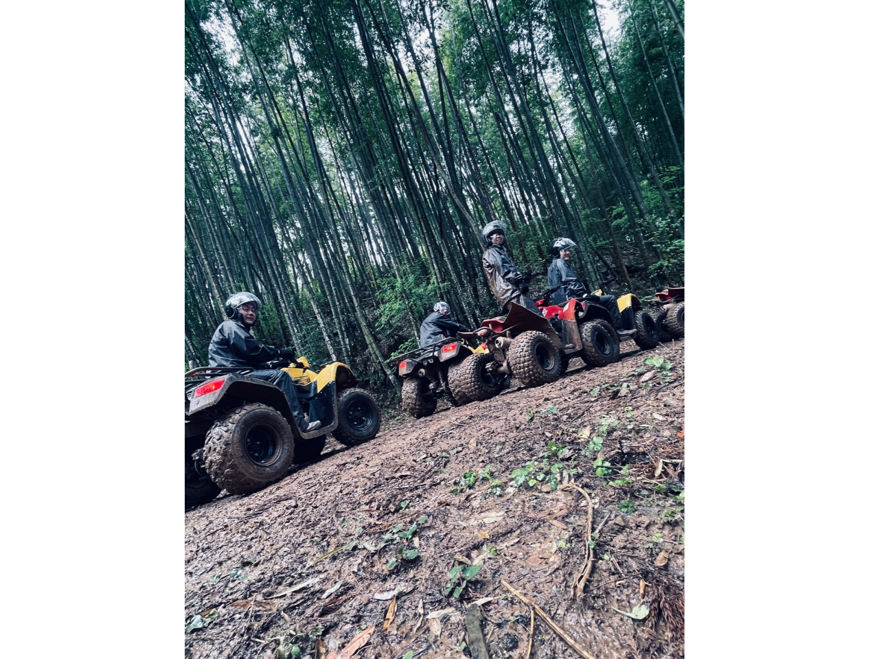 JVłChɑoM[IJV̏ꍇ͓{݂薳ŁuCR[gAu[cApwbgvĂ܂̂łSI