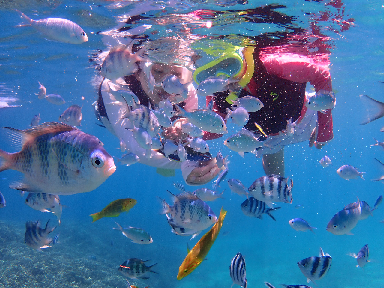 �����Ȃ��炯(^^)