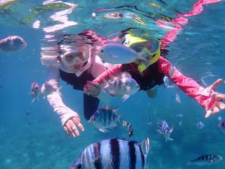 数えきれないたくさんの魚(*^^*)