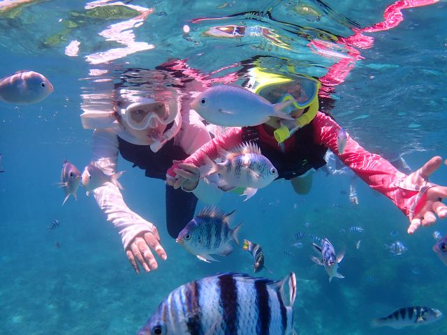 数えきれないたくさんの魚(*^^*)