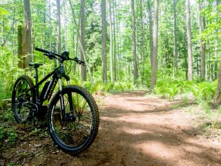 本格的なオフロード走行が楽しめます。お持ち込みの車両は、トレイルを走ることができるマウンテンバイクやグラベルロードがお勧め。