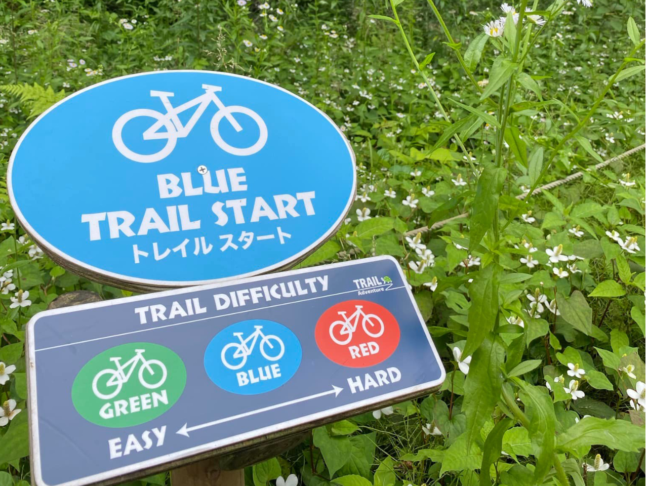 킩₷ē\ŁASăR[XIԂƂł܂B