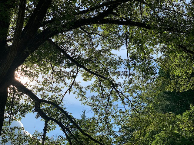 ボートの上で木陰の中で寝転んでみました♪