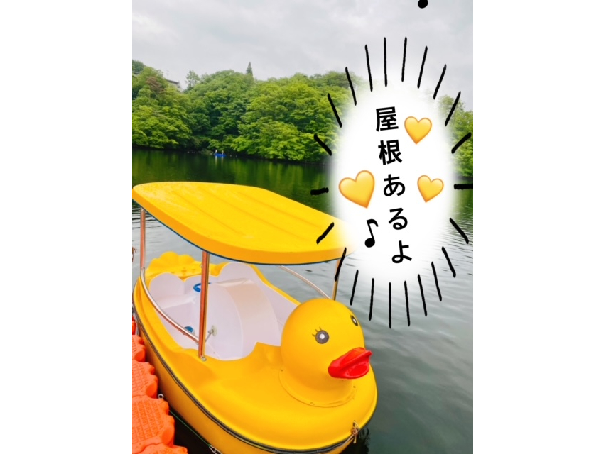 アヒルボートは屋根もありますので暑い太陽も怖くない♪