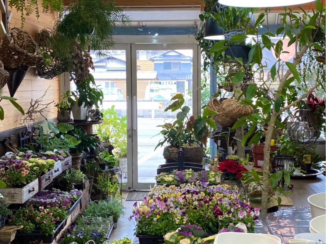 X͐Ałql̖₵ԂyŒĂ܂^ ^