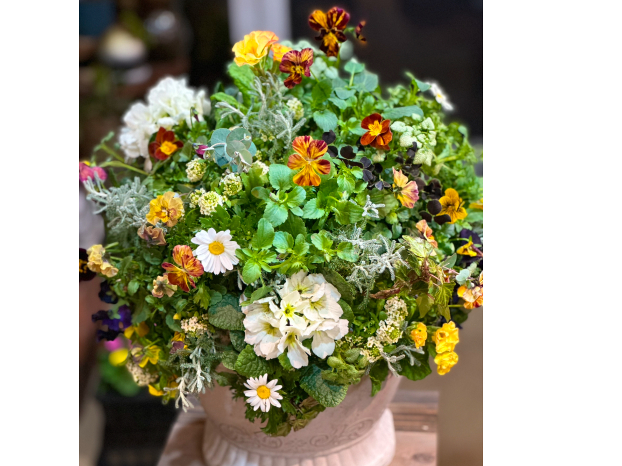 X^_[hbX͖ۑ̒ŋZpwŒȂ̃bXłB}c[}łw܂B