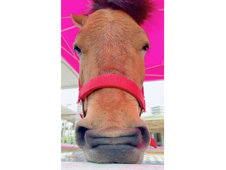 |j[̃t@gNłŊFlo}܂I