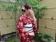 セレクトプラン