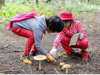 お子様でも歩けるハイキングコースでのご案内です。
