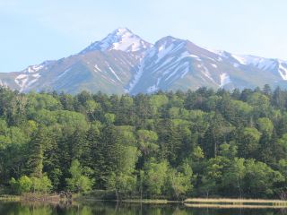 姫沼から見る利尻山